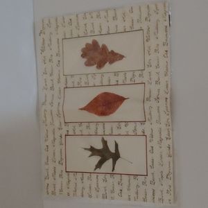 2 Cotton Placemats & 2 Napkins Leaves Names Of Tree written NEW 100% cotton